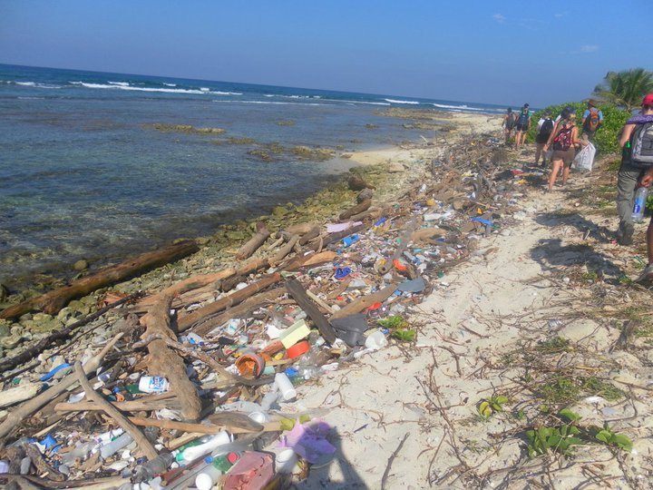 cleaning up Utila
