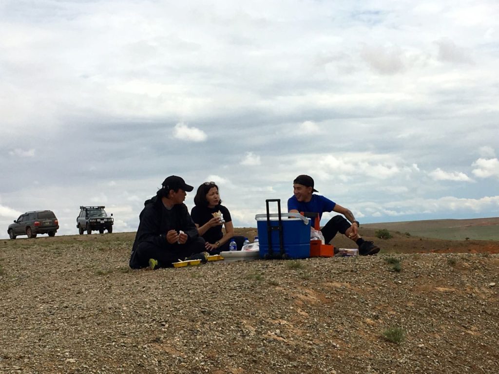 picnic lunch in Gobi desert