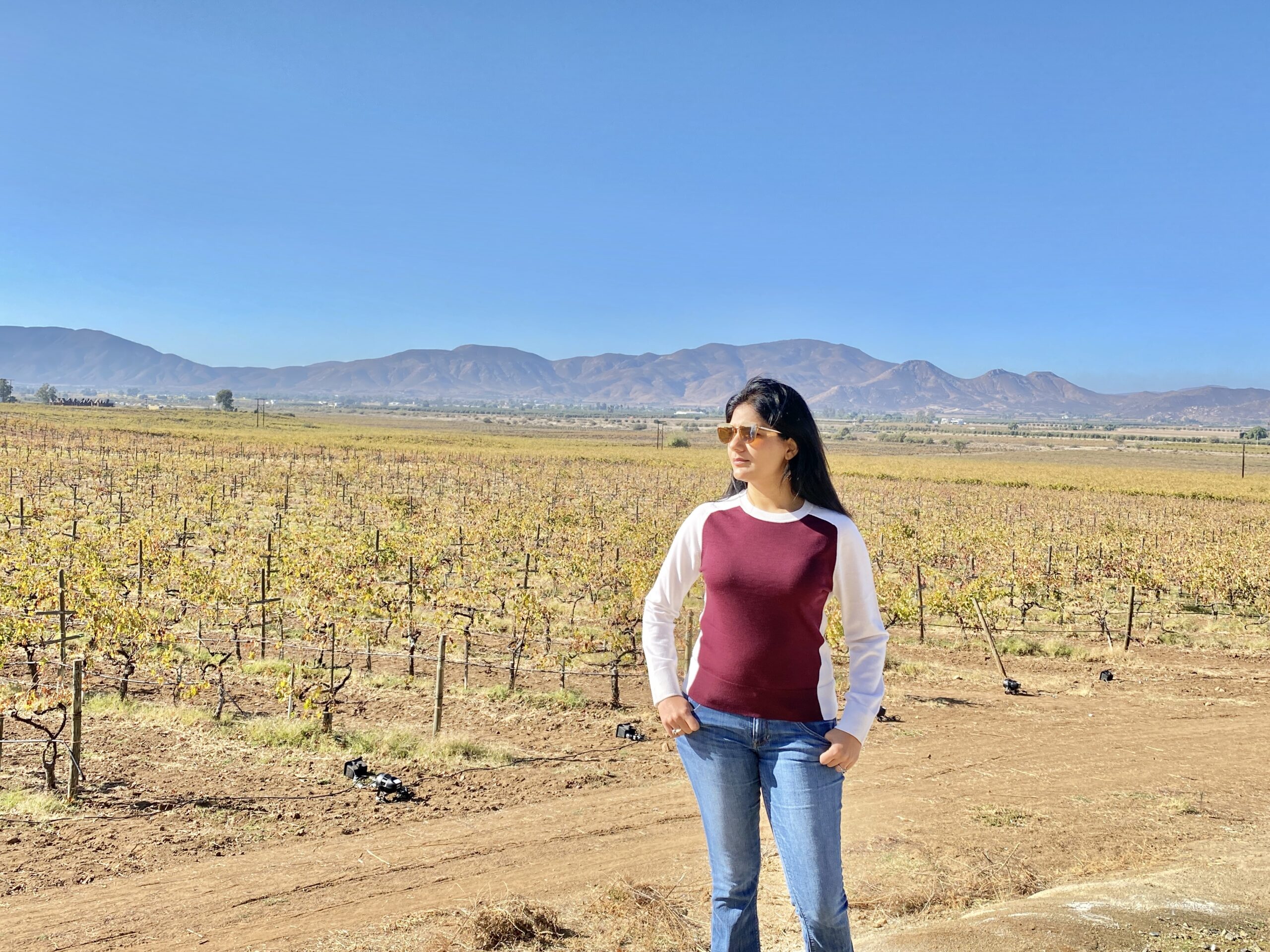 AlXimia - Baja Wine Country Guide