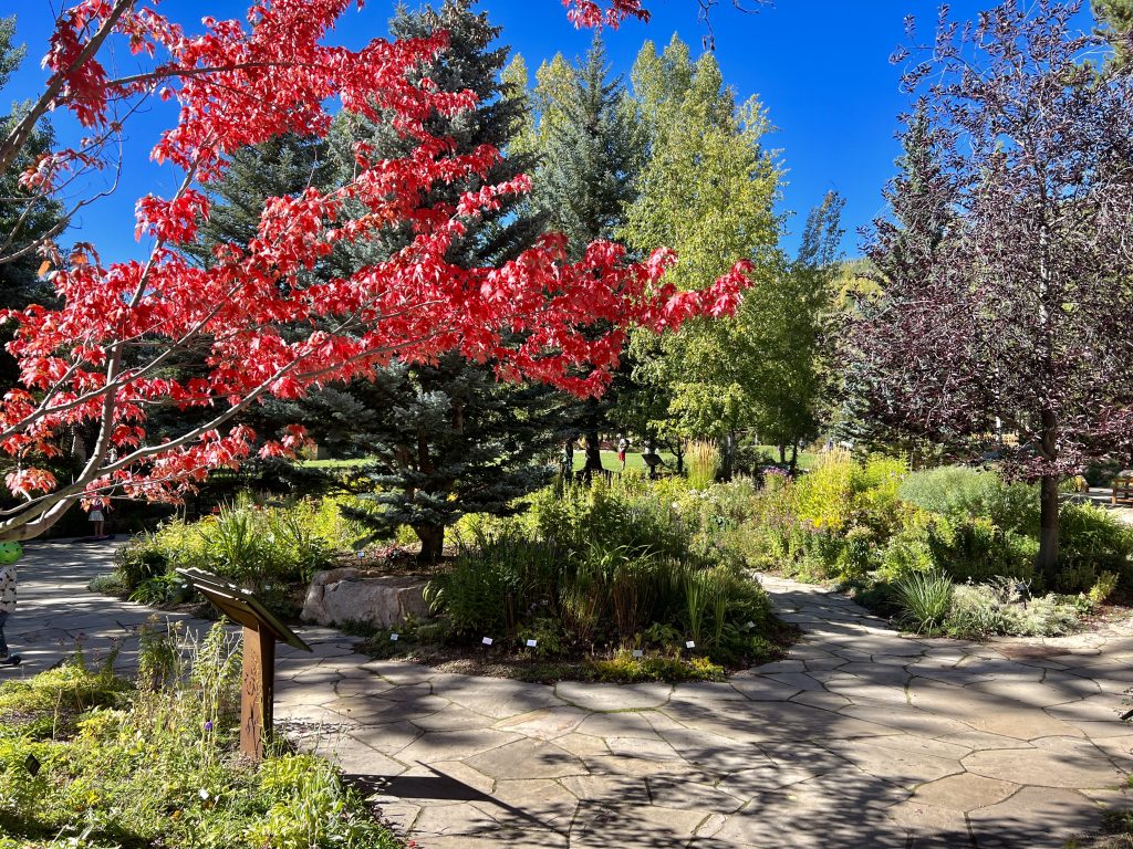 another thing to do is Betty Ford garden in Vail