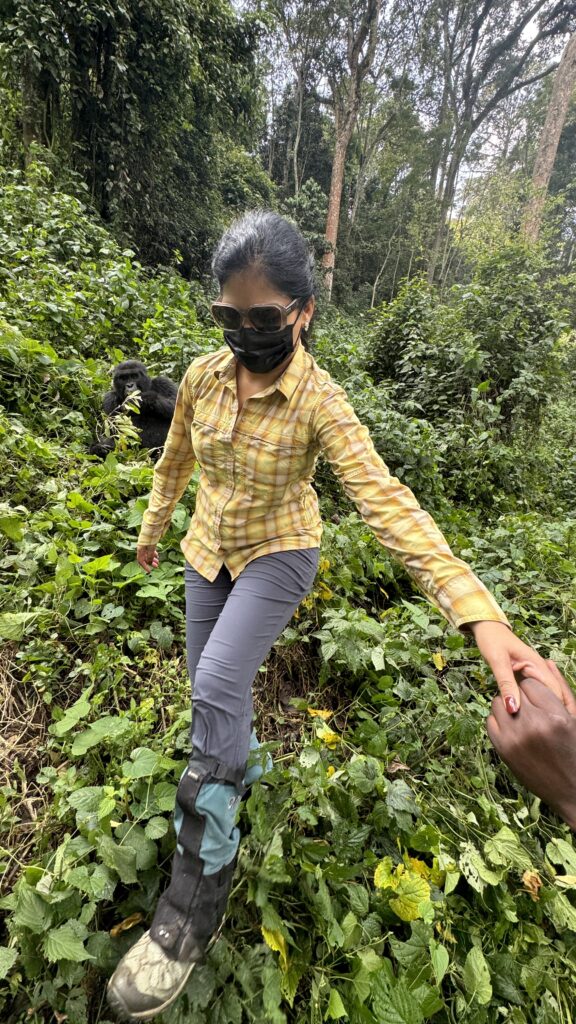 gorilla trekking in Uganda