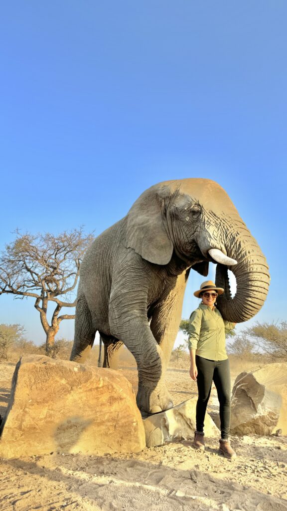 elephant encounter