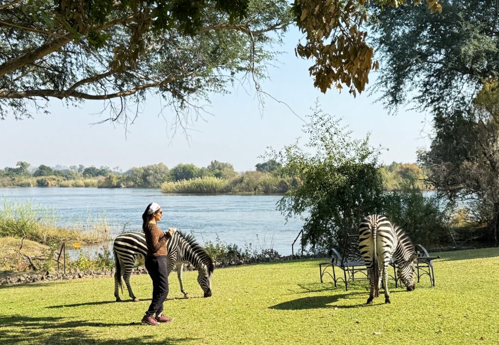 walk with wildlife at Royal Livingstone