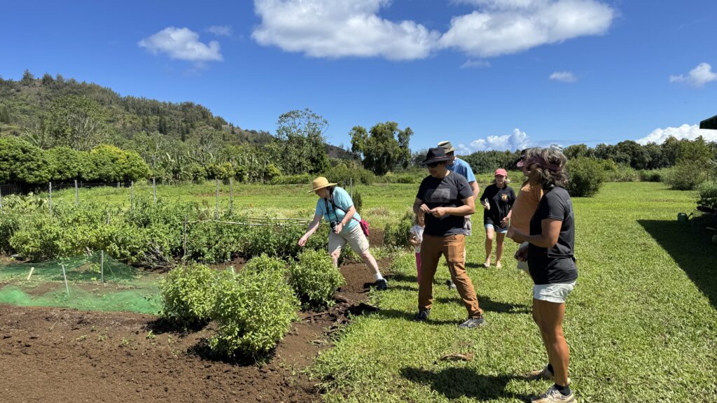 volunteering at a farm in Kauai