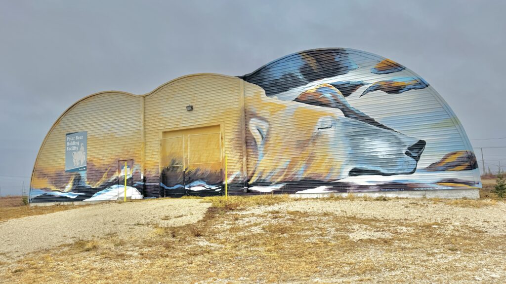 Polar bear jail in Churchill, Photo by Sucheta Rawal