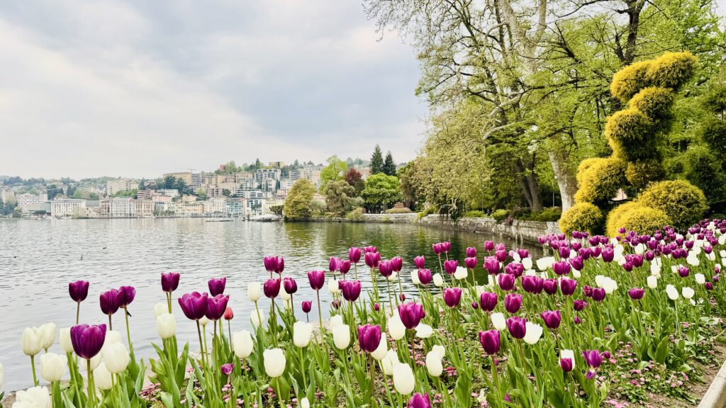 Lugano spring
